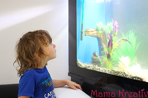Aquarium für kinder